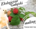 Miniatyrbild 1 av 4: Premium papegojfoder - ekologiska hallongrenar - för alla papegojor 100g