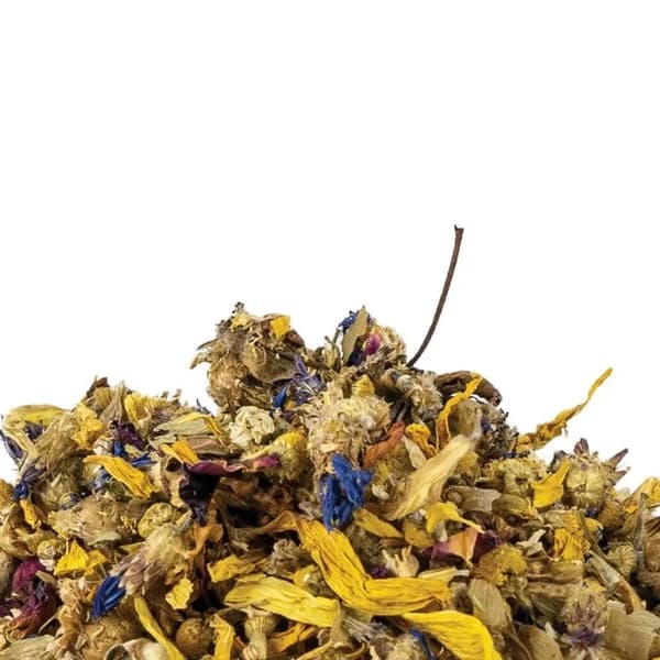 Back Zoo Nature - Kukkasekoitus papukaijoille 35 g