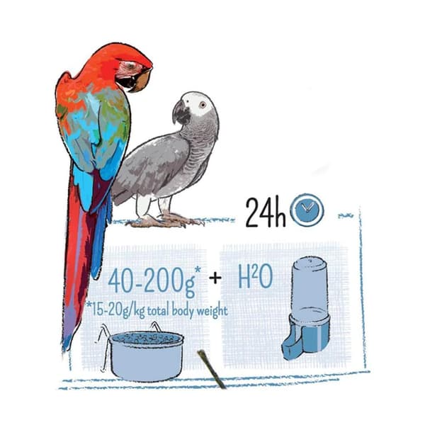 WITTE MOLEN PUUR PARROT 2kg | ruoka aroille, harmaille papukaijoille, amatsoneille ja muille suurille papukaijoille