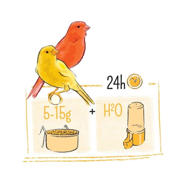 WITTE MOLEN PUUR KANARIEFÅGEL 750g | foder tillägnat kanariefåglar