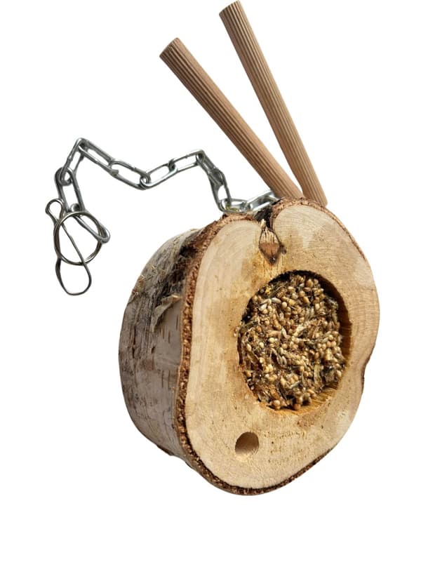 Rundt træ med frø og melorme - til små og mellemstore papegøjer
