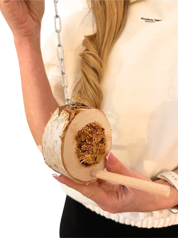 Rund träbit med frukter och frön - för små och medelstora papegojor