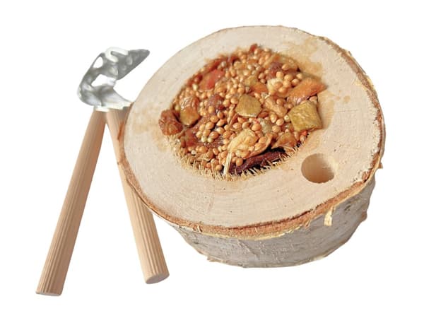 Rund träbit med frukter och frön - för små och medelstora papegojor