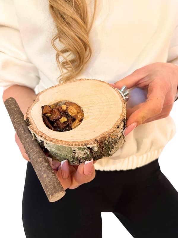 Björkbord med frukt - för små och medelstora papegojor