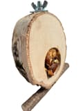 Miniatyrbild 5 av 7: Björkbord med frukt - för små och medelstora papegojor