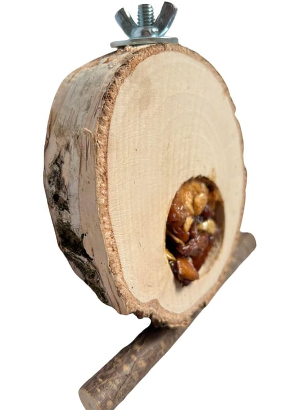 Björkbord med frukt - för små och medelstora papegojor
