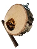 Miniatyrbild 2 av 7: Björkbord med frukt - för små och medelstora papegojor