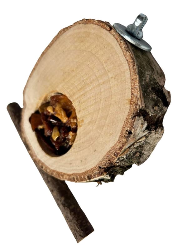 Björkbord med frukt - för små och medelstora papegojor