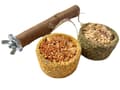 Miniatyrbild 6 av 10: Naturlig abborre med godis - för små papegojor