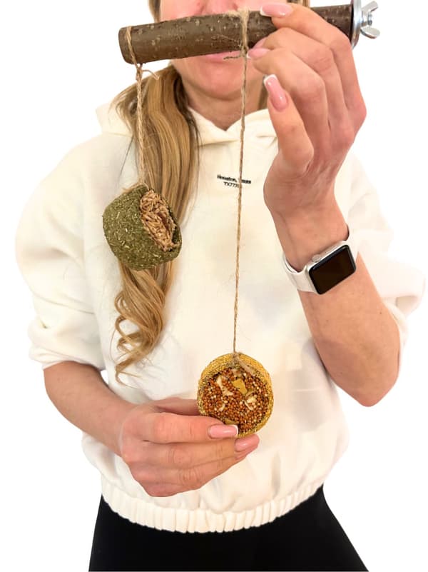 Naturlig abborre med godis - för små papegojor