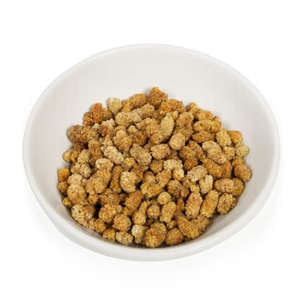 Wagner's - Torkade mullbär för alla papegojor 100g