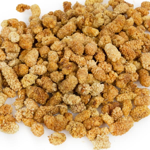 Wagner's - Torkade mullbär för alla papegojor 100g