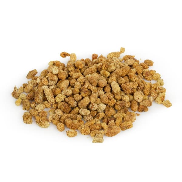 Wagner's - Torkade mullbär för alla papegojor 100g