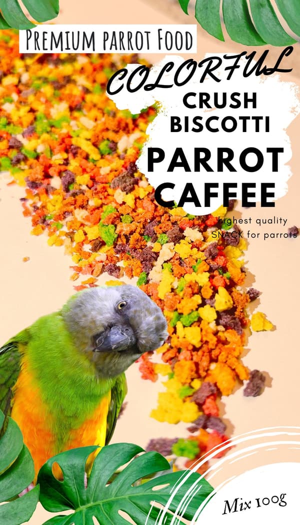 PAPEGOJEKAFFE - Crush Biscotti - krossade kex för alla papegojor 100g