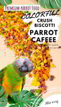 Miniatyrbild 3 av 5: PAPEGOJEKAFFE - Crush Biscotti - krossade kex för alla papegojor 100g