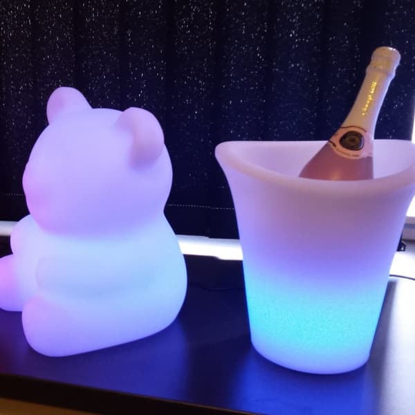 Moodlight Björn
