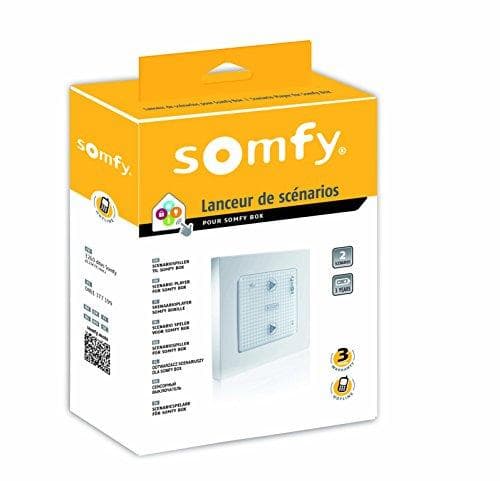 Somfy 2401221 - Scenarieafspiller til TaHoma | Trådløs vægstyring af 2 TaHoma-scenarier