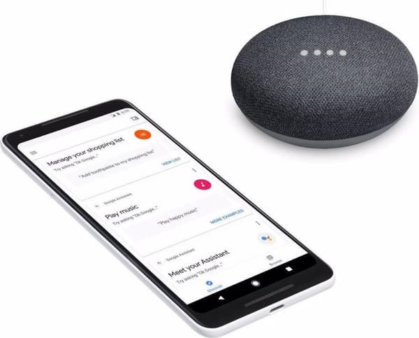 Google Nest Mini - Smart Speaker / Sort / Hollandsk