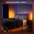 Pikkukuva 9 / 11: Philips Hue Valkoinen ja värillinen tunnelma Hue Gradient Signe Pöytävalaisin - Älykäs pöytälamppu - Valkoinen - LED - Ei-vaihdettava hehkulamppu (lam