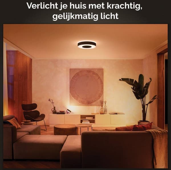 Philips Hue Valkoinen ja värillinen tunnelma Infuse suuri kattovalaisin - Älykäs kattovalaistus - Musta - Bluetooth - LED - Ei-vaihdettava hehkulamppu