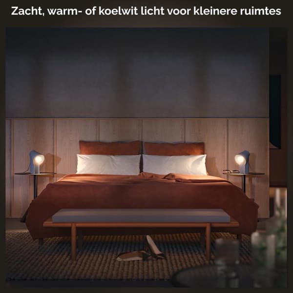 Philips Hue White Ambiance E27 Double Pack 2x570lm 60W [Energiklasse F] (8719514328259)