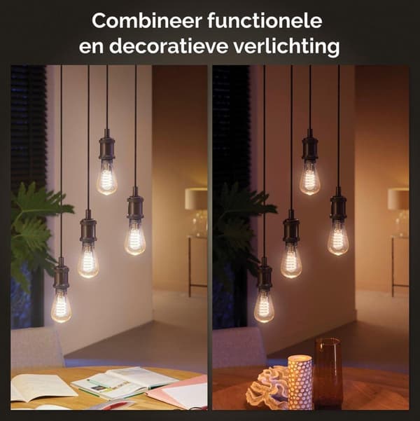 Philips Hue White Ambiance E27 Single Pack Giant Edison ST72 Filament 300lm [Energiklass G] (8719514301511)