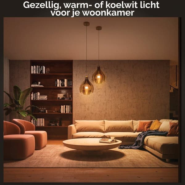 Philips Hue White Ambiance E27 Twin Pack 2x800lm 75W [Energiklasse F] (8719514291263)