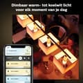Miniatyrbillede 6 af 11: Philips Hue White Amb. Twin Pack E14 2x470lm [Energiklasse G] (8719514356740)