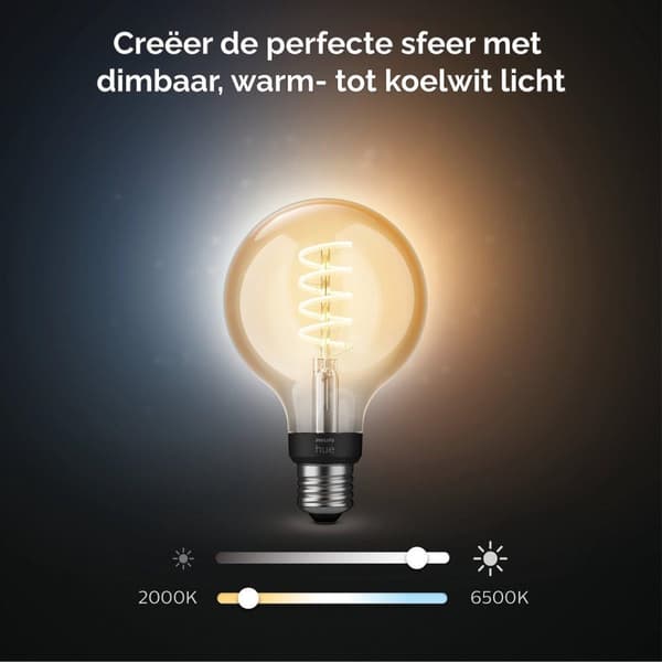 Philips Hue White Ambiance E27 Single Pack Globe G93 Filament 300lm [Energiklasse G] (8719514301498)
