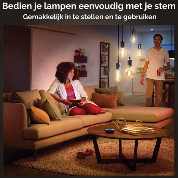 Philips Hue White Ambiance E27 Single Pack Globe G93 Filament 300lm [Energiklasse G] (8719514301498)