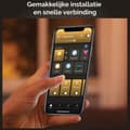 Miniatyrbillede 10 af 11: Philips Hue White Ambiance E27 Single Pack Globe G93 Filament 300lm [Energiklasse G] (8719514301498)