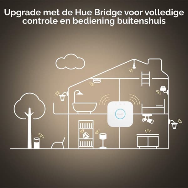 Philips Hue White Ambiance E27 Single Pack Globe G93 Filament 300lm [Energiklasse G] (8719514301498)