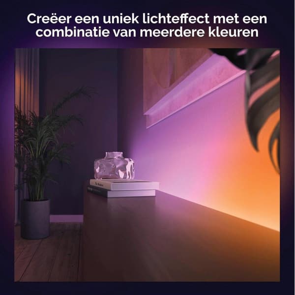 Philips Hue Gradient Ambience Lightstrip Extension, 1 m [Energiklasse G] (871951433998900)