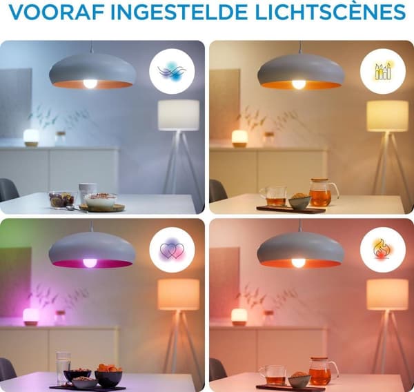 WiZ SQUIRE bærbar bordlampe, der kan indstilles hvid og farve hvid (929002690301)