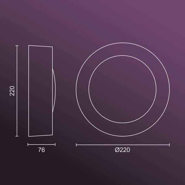Philips Hue White and Colour Ambiance Daylo LED utomhusvägglampa, dimbar, upp till 16 miljoner färger, styrbar via app, kompatibel med Amazon Alexa (E