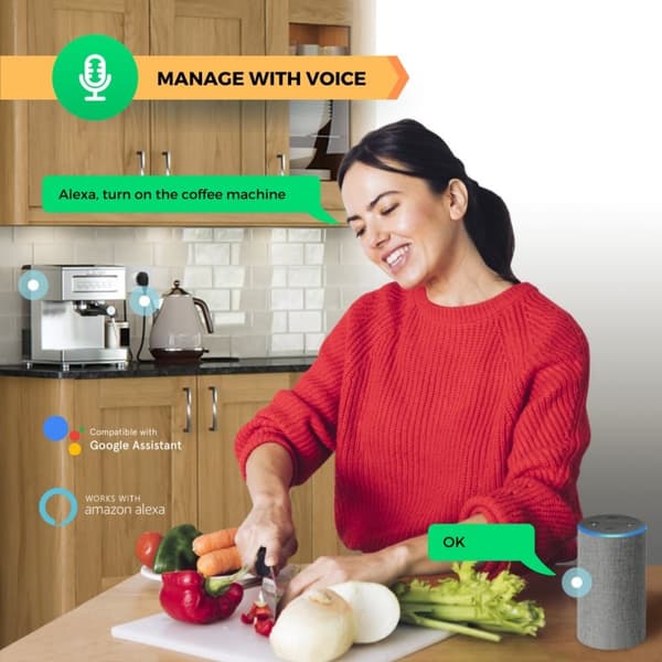 Nous Tuya ZigBee Smart Plug 2-pack - Tuya eller Smart Life App - Kräver ZigBee nav - Max 3680W