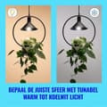 Miniatyrbild 9 av 11: Signify WiZ White 60W E27 A60 Standard Filament klar Tunable (929003714001)