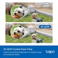 Miniatyrbillede 8 af 8: WRL CAMERA 2K QHD/TAPO C420 TP-LINK