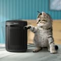 Miniatyrbillede 6 af 8: Heater Air, CX2120/01, Philips