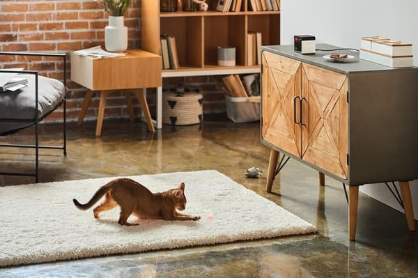 Wrl camera play 2/pp20us, Petcube