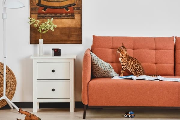 Wrl camera play 2/pp20us, Petcube