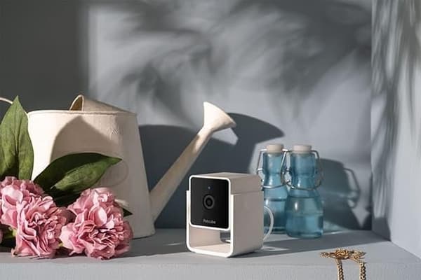 Wrl kamera hd/cc10us, Petcube
