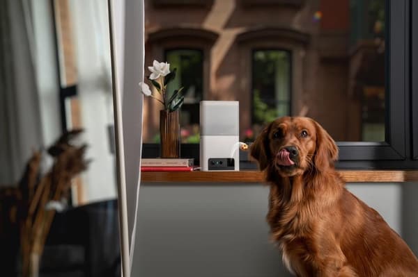 Wrl camera bites 2 lite/bl10us, Petcube