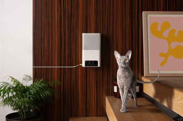 Wrl camera bites 2 lite/bl10us, Petcube