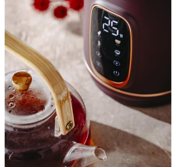 Adler, Kedel med LED Display, AD 1305