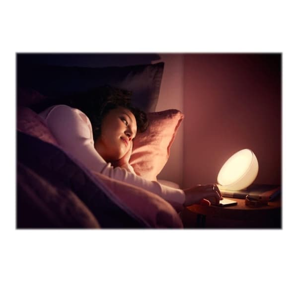 Philips Hue, Hue Go Portable Light
