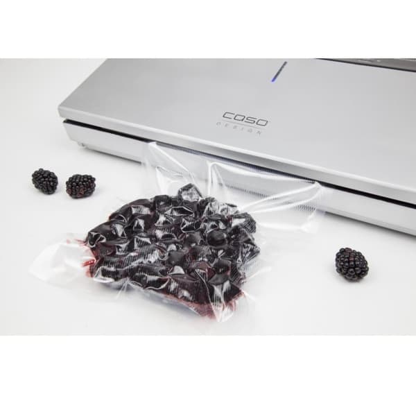 Caso, Bar Vacuum sealer, GourmetVAC 480