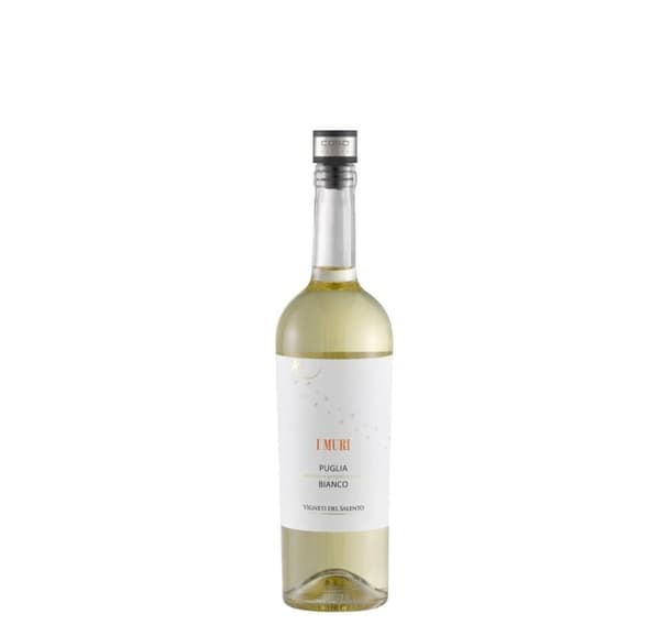 Caso, WineLock, 01257
