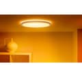 Pikkukuva 4 / 8: WiZ, Smart WiFi SuperSlim Ceiling 545mm, valkoinen