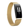 Miniatyrbild 1 av 4: Milanese Loop Armband Fitbit Inspire/Inspire HR/Inspire 2 Guld